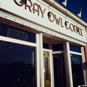 Gray Owl goodness...