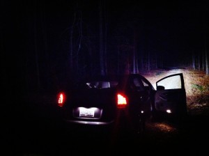 Tammy the Prius at the edge of darkness...