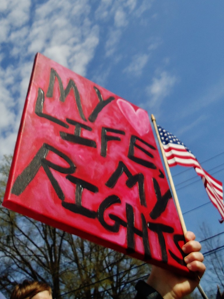 Rally sign for Ides of Love, 2012.