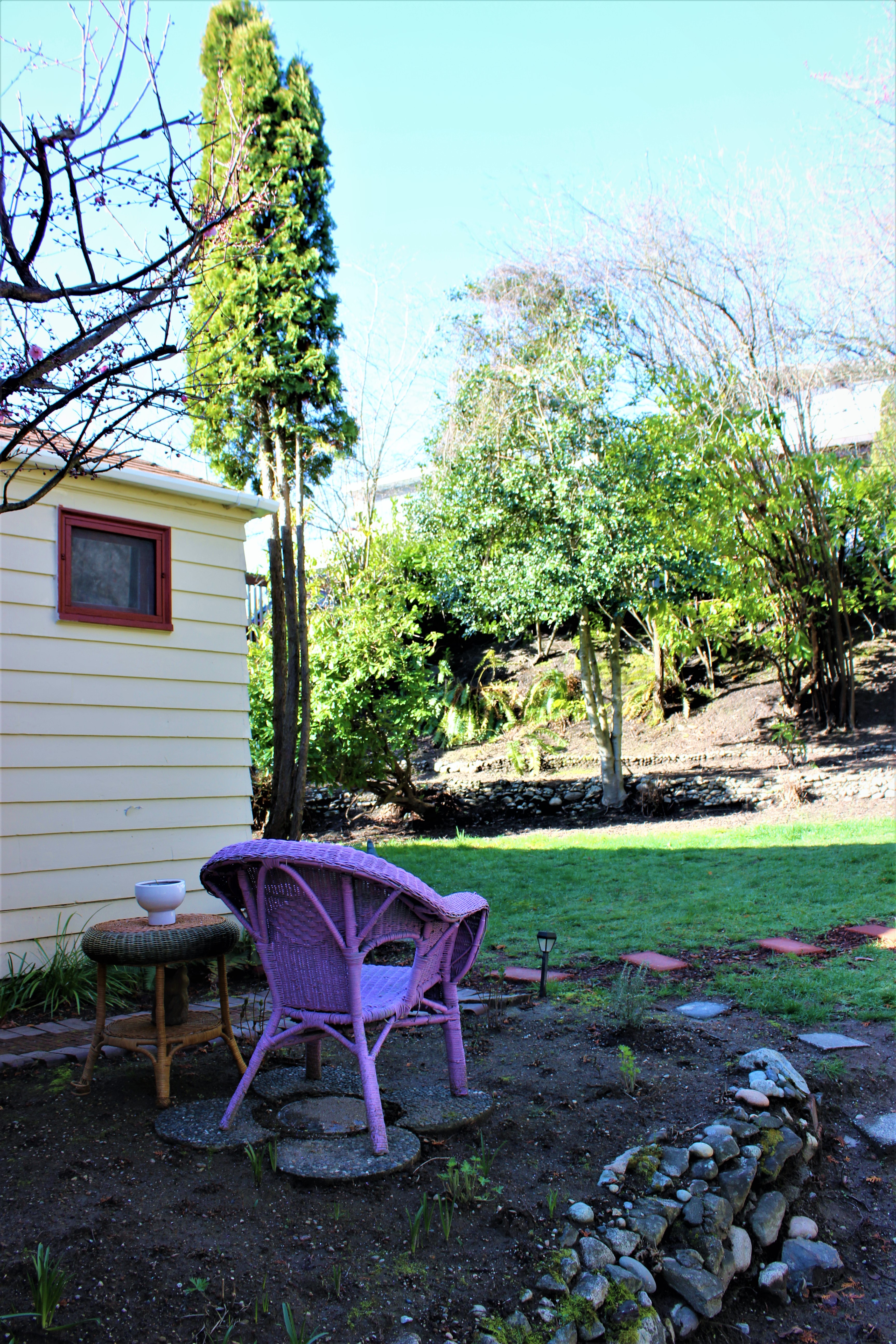 A view to the front terraces--all of which are now free of choking ivy, and sun can actually get through.